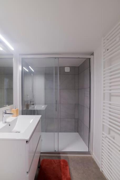 Appartement Cosy Hyper Centre Epinal Exterior photo